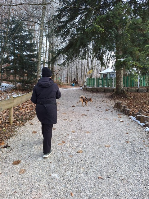 12c976da-a575-497d-994f-5d4e08fc38df