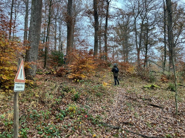 c4aef2f9-42e5-4912-9553-0fae3781747e