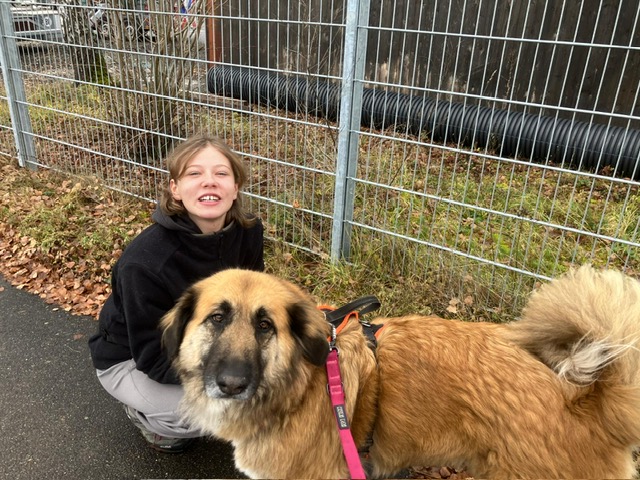 b27645f4-39c6-48b2-b526-73b45e2aeb19