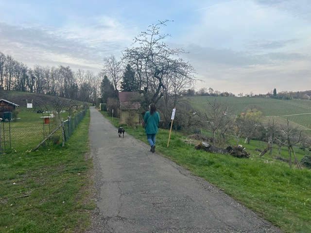 03b19adf-d75a-48fe-b57e-7efaaad8c17b