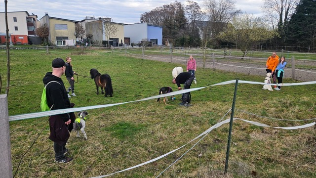 152ec2dd-05a4-433f-9563-0029a2d906a2