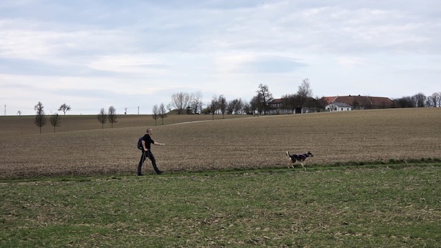 56e23986-f9ce-49fc-ac99-ffd5af8b5e44