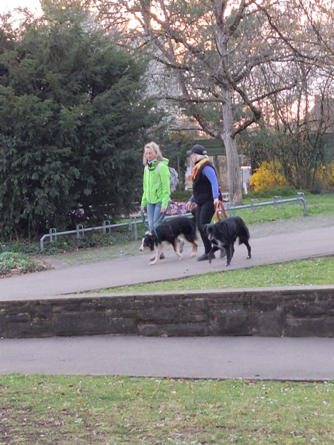 d46997ea-eb98-4c59-8f9c-16bf8364b7d0